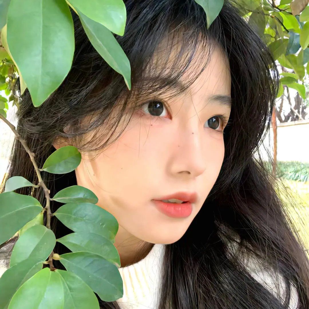 独活女子的推荐第二季