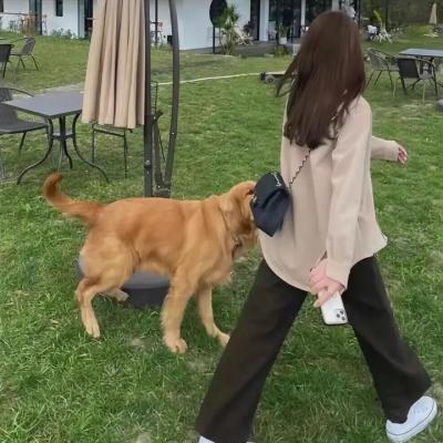 炸鸡块奇遇记